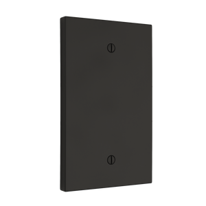 Futura Blank Wall Plate - Coal Black Brass