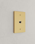 Solid brass Futura Cable Wall Plate in Satin Brass finish