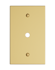 Solid brass Futura Cable Wall Plate in Polished Brass finish