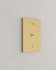 Solid brass Futura Cable Wall Plate in Satin Brass finish