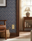 Century Outlet Wall Plate - SB lifestyle wall-detail-02