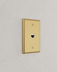 Solid brass Century Cable Wall Plate in Satin Brass finish