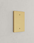 Solid brass Futura Blank Wall Plate in Satin Brass finish