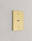 Solid brass Futura Cable Wall Plate in Polished Brass finish