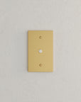 Solid brass Futura Cable Wall Plate in Satin Brass finish