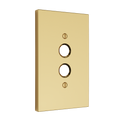 Polished Brass