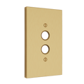 Brushed Brass