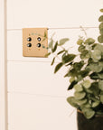 The Push Button Switch